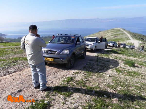 פריחות ונחלים בדרום רמת הגולן, פברואר 2018