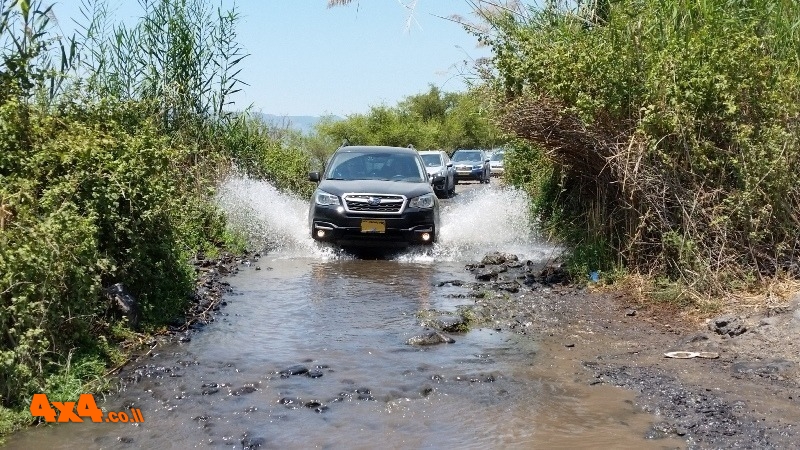 שטח 4X4 - כתבות