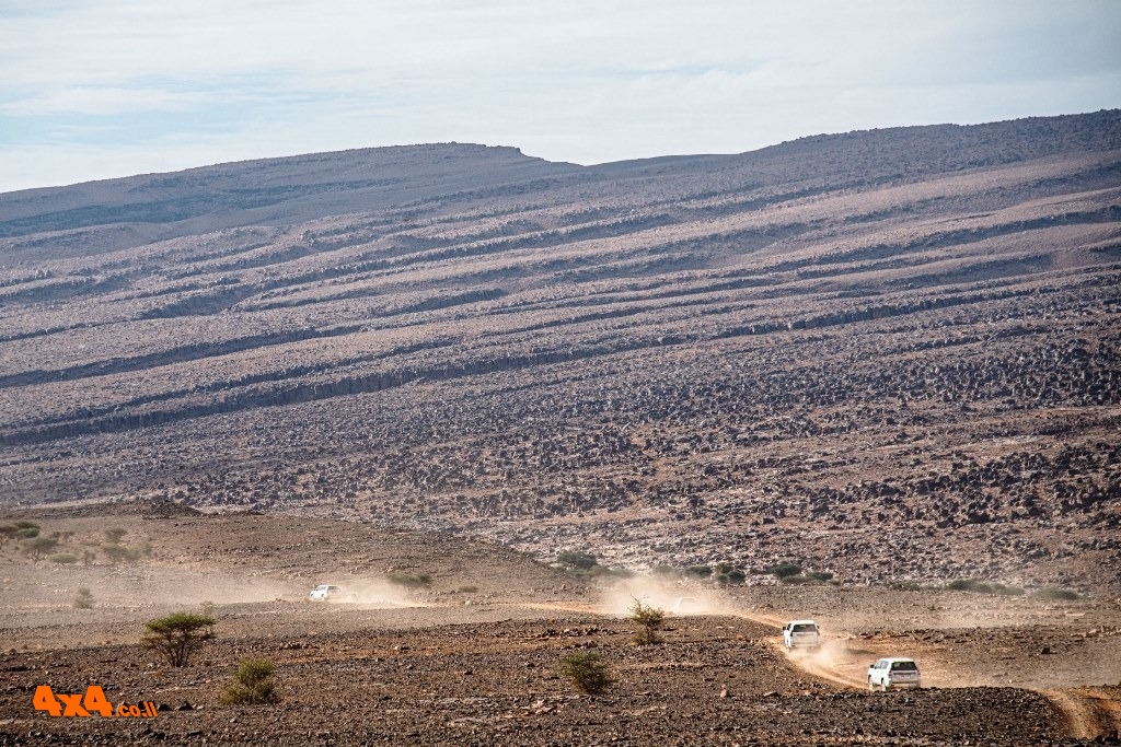 שטח 4X4 - כתבות - ביטוח וחוק