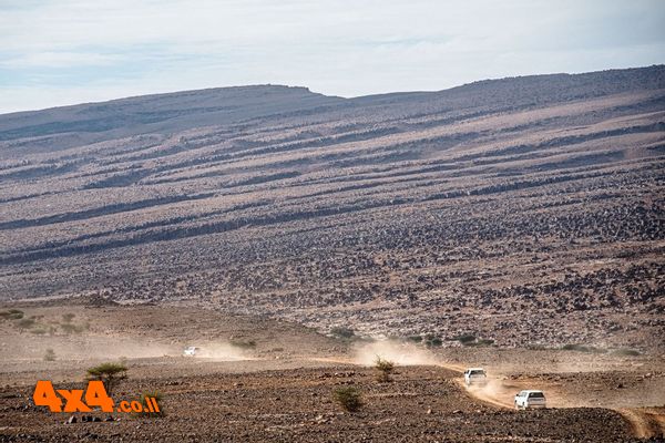 חברות הביטוח מאשימות מבוטחים תמימים במרמה והשופטים עומדים מנגד