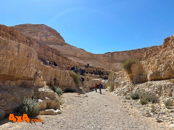 טיול ג׳יפים מיוחד למשפחות בשילוב מסלול רגלי לזכר האסון בנחל צפית