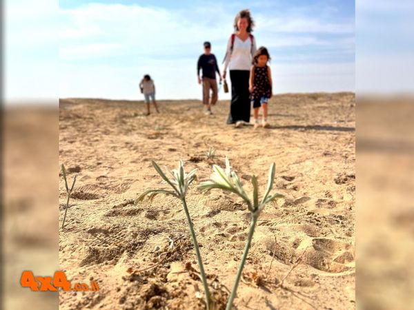 טיול מועדון לנד רובר לשביל החבצלות - 06/02/25