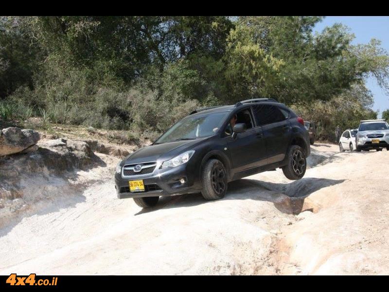 סיכום הדרכת נהיגה סובארו דרייב - הר חורשן 19/2/16