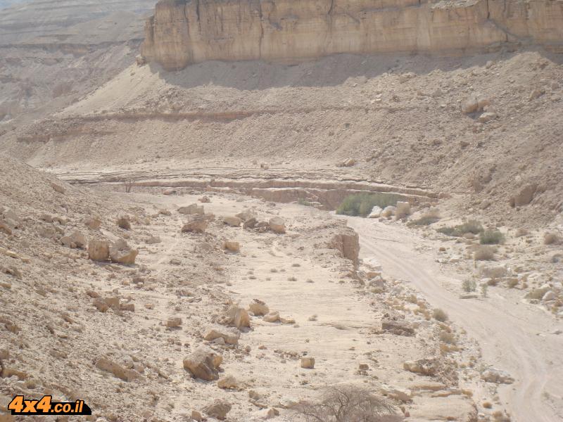 נחלי הנגב המזרחיים